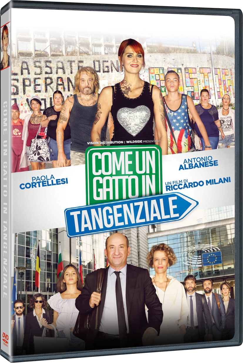Come un gatto in tangenziale