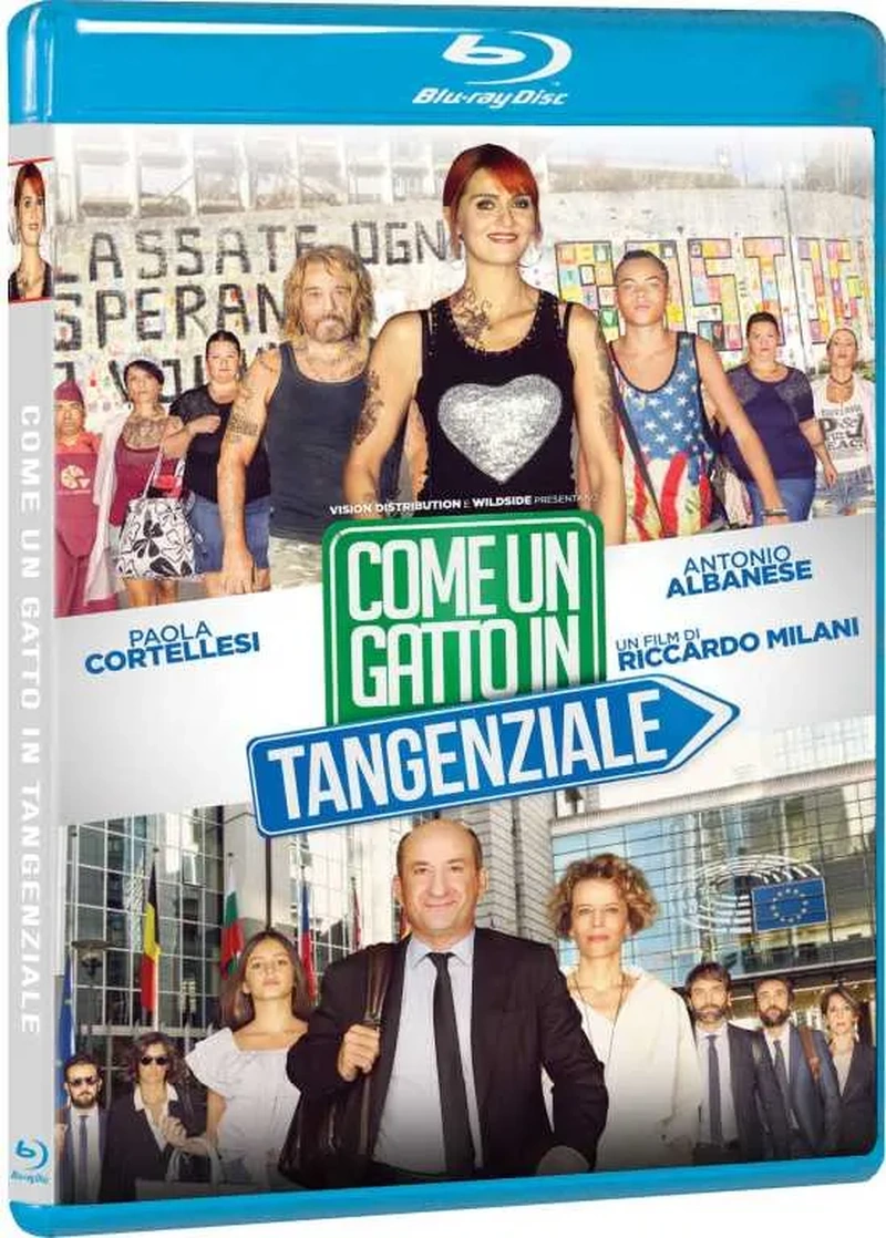 Come un gatto in tangenziale