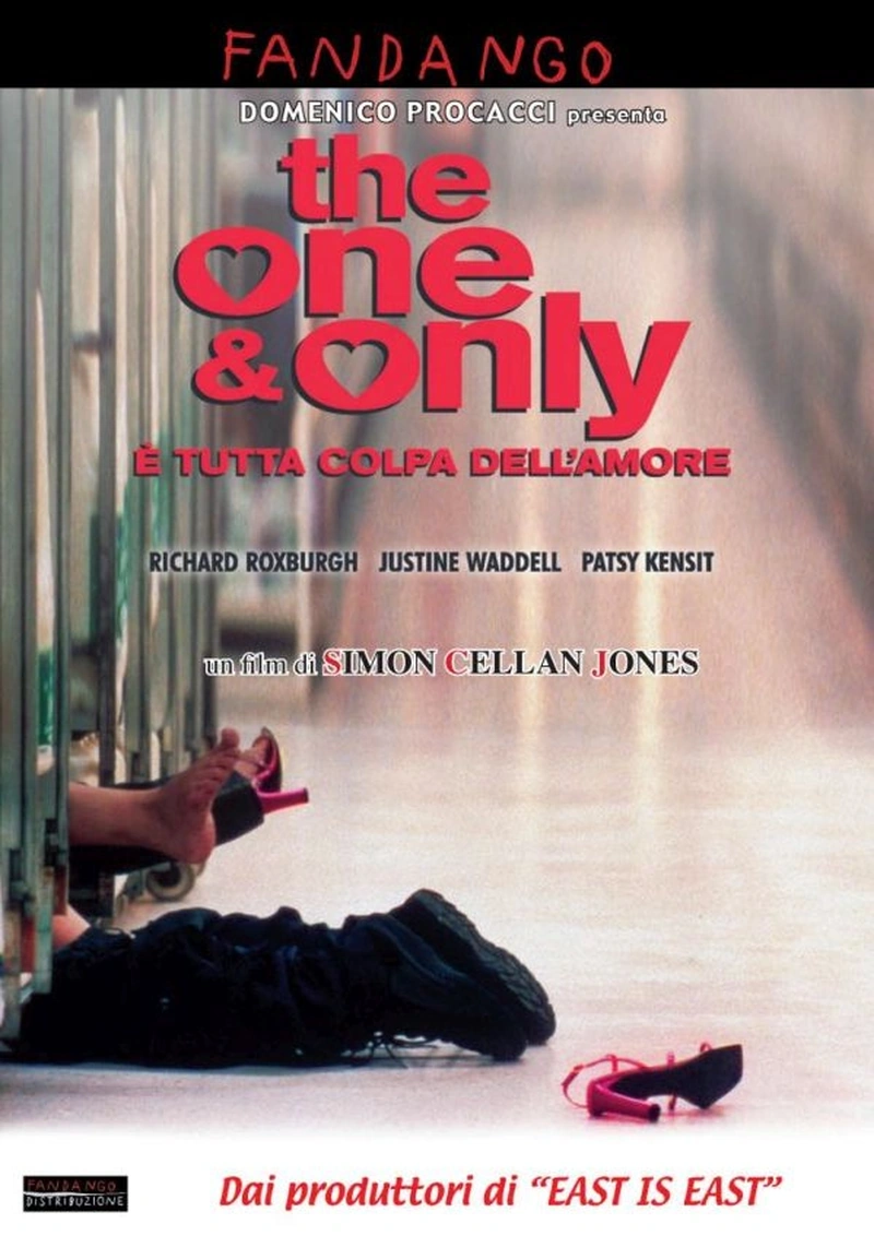The one & only - È tutta colpa dell'amore