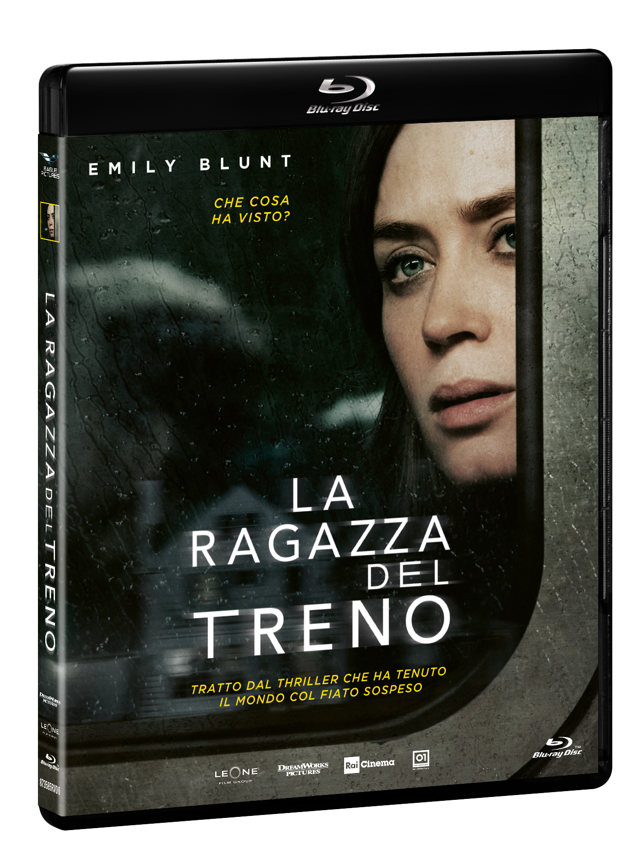 La ragazza del treno