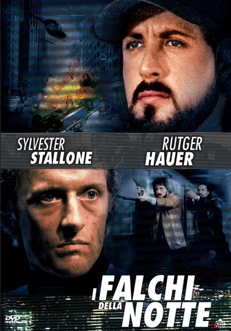 I falchi della notte