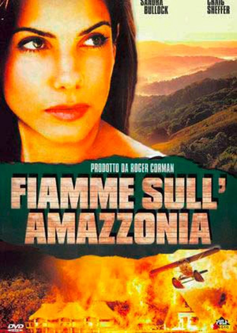 Fiamme sull'Amazzonia