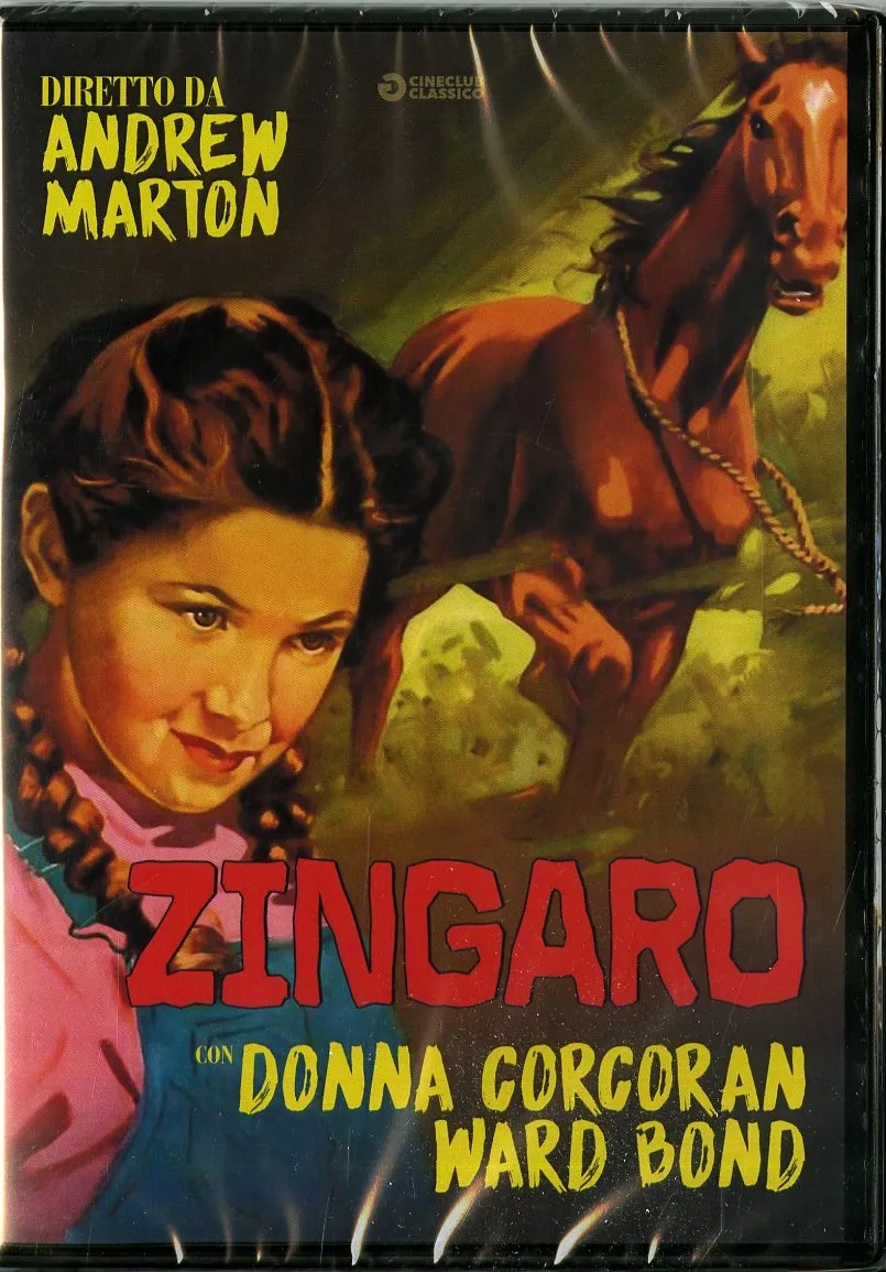 Zingaro 