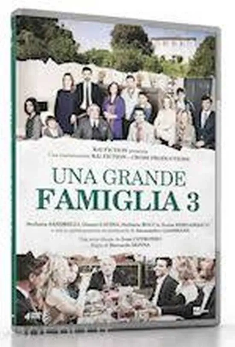 Una grande famiglia 3 (4 DVD)