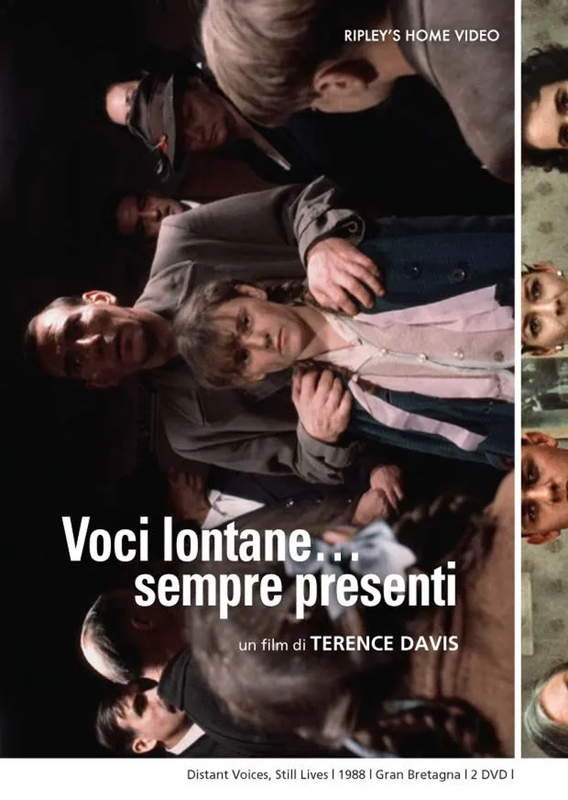 Voci lontane...sempre presenti (2 DVD)