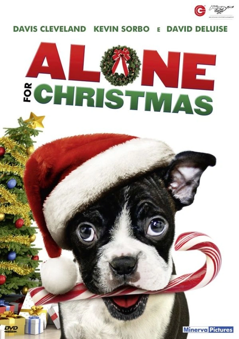 Alone for Christmas