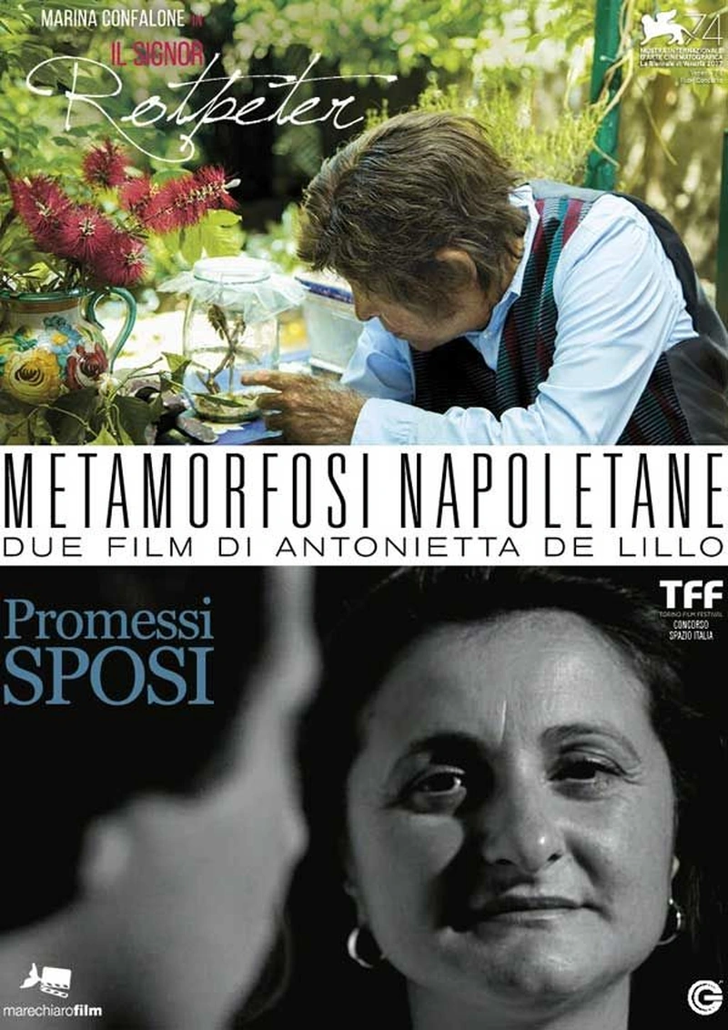 Metamorfosi napoletane - Due film di Antonietta De Lillo