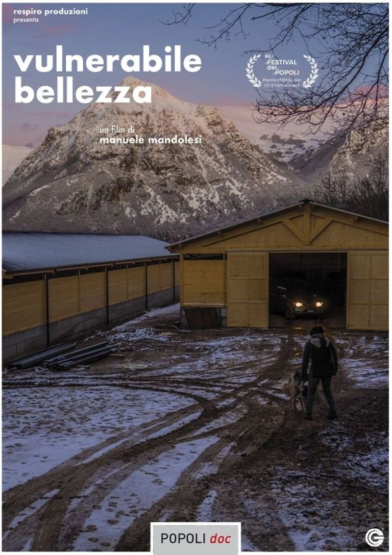 Vulnerabile bellezza