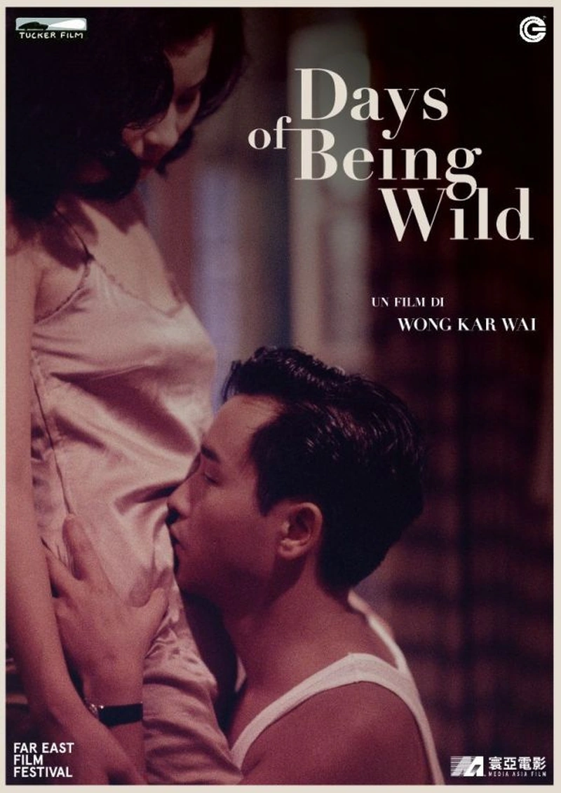 Days of Being Wild
