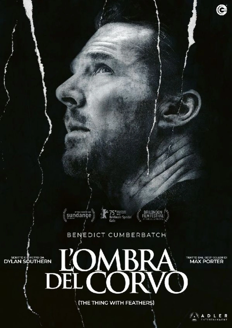 L'ombra del corvo
