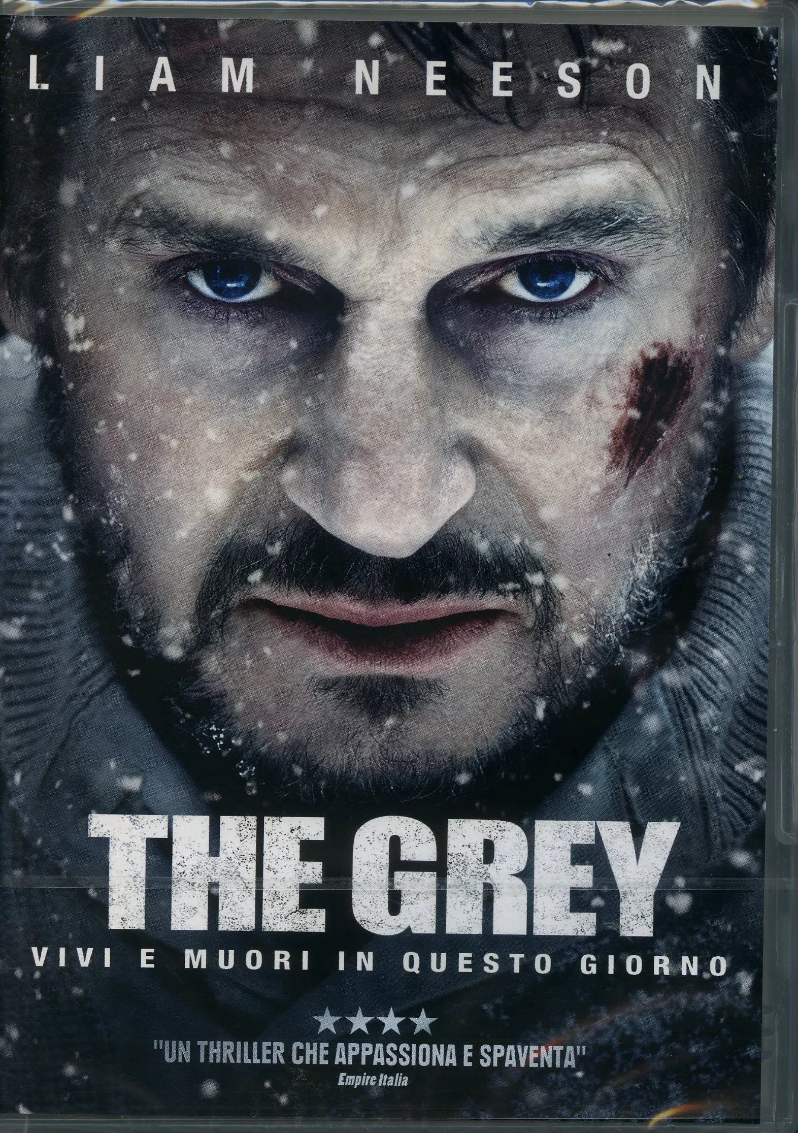 The Grey