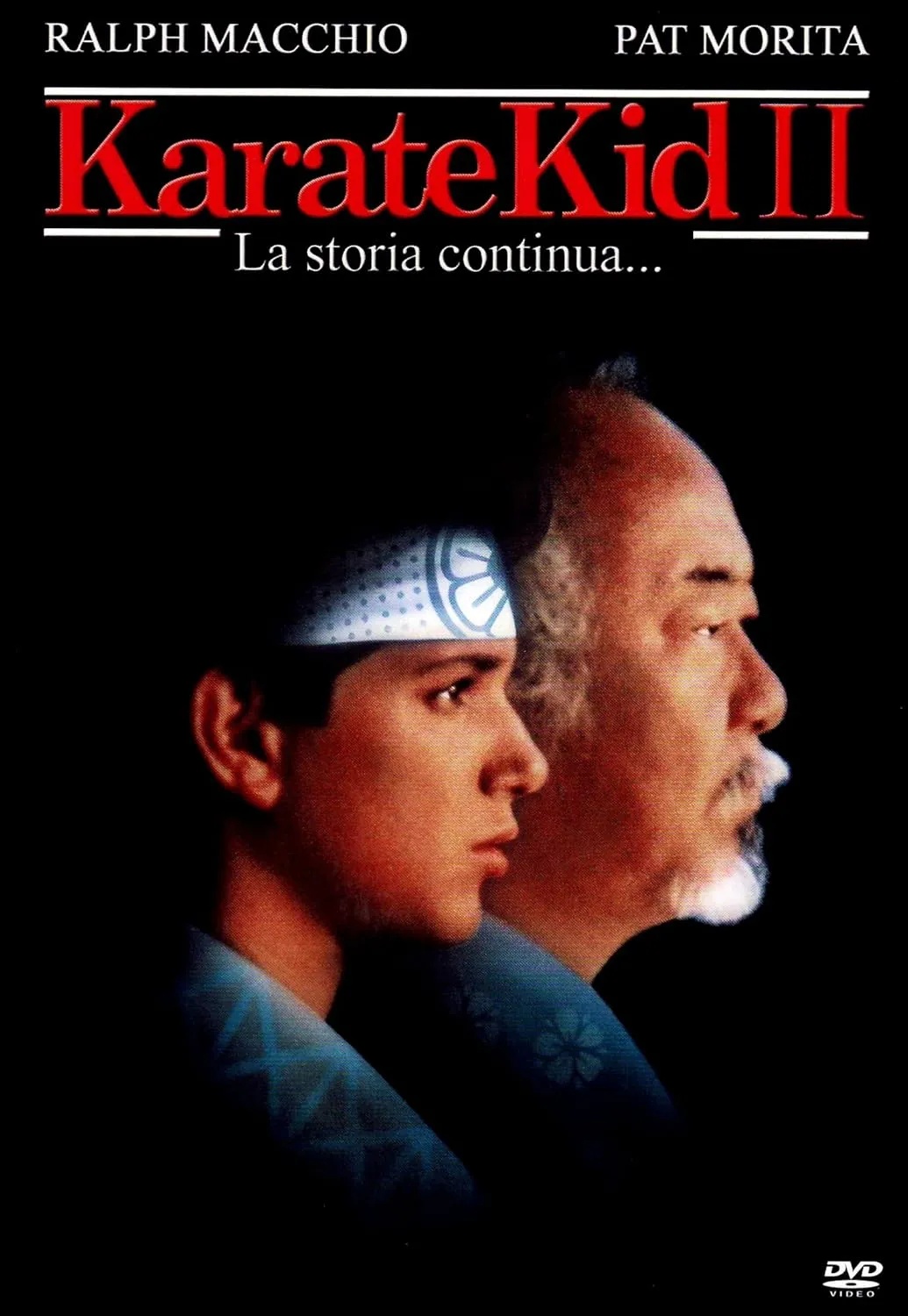 Karate Kid II - La storia continua...