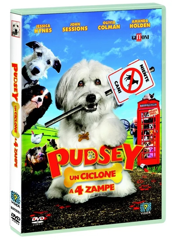 Pudsey - Un ciclone a 4 zampe