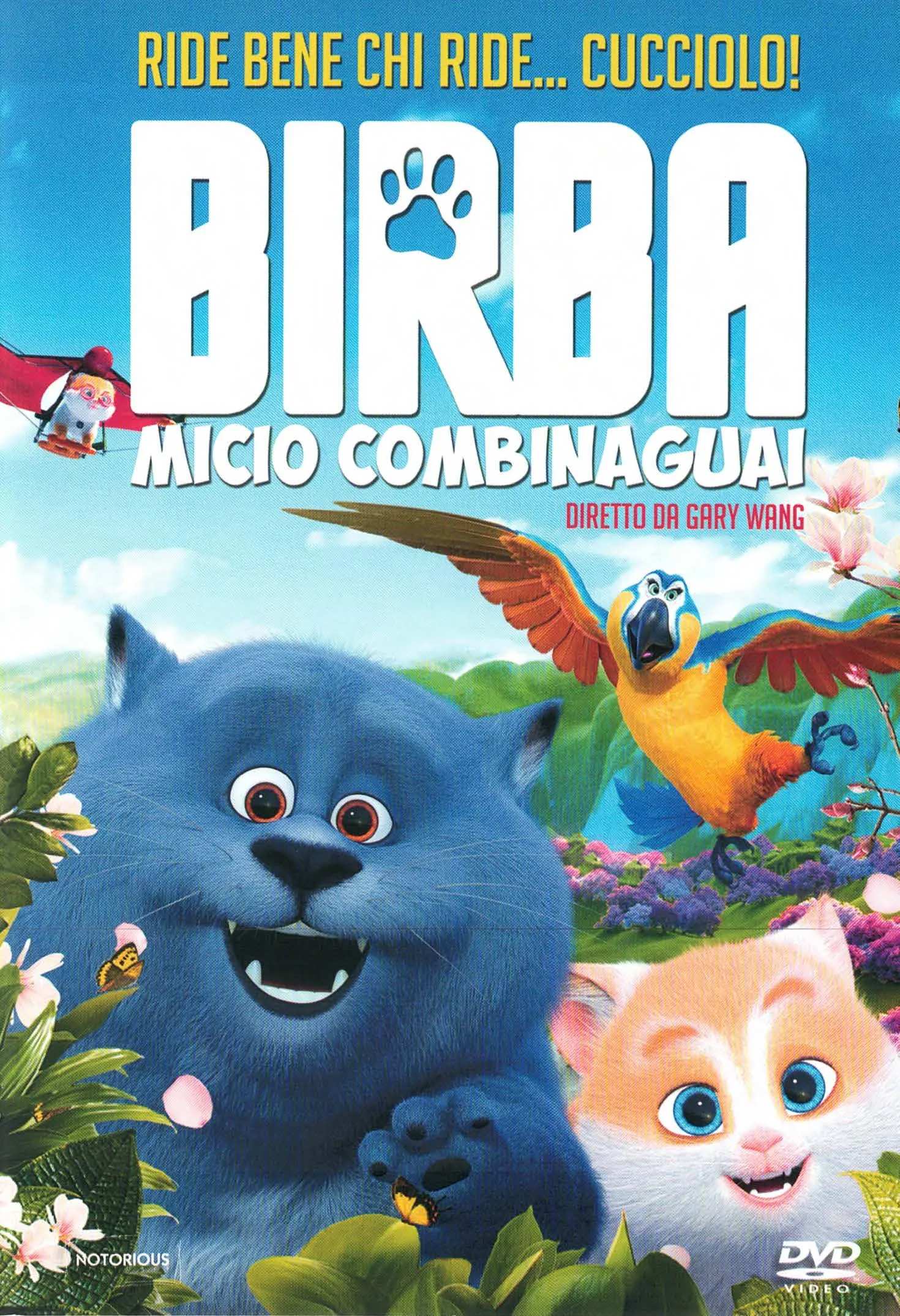 Birba. Micio combina guai