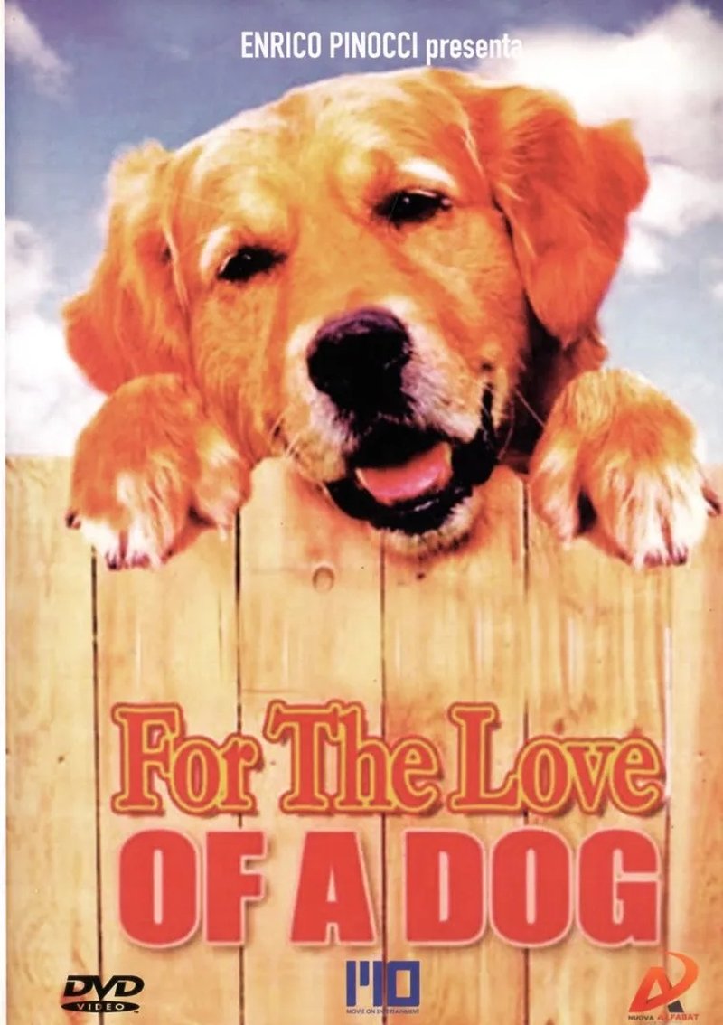 For the Love of a Dog
