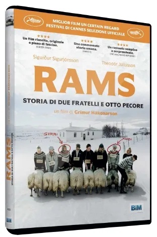 Rams - Storia di due fratelli e otto pecore