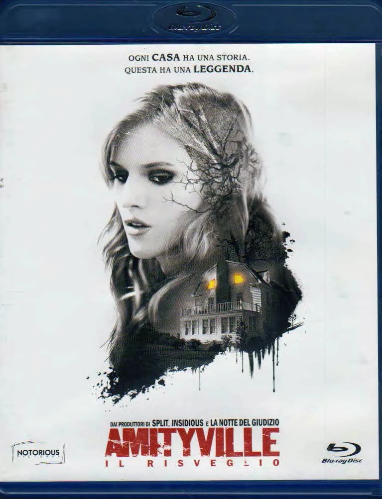 Amityville - Il risveglio